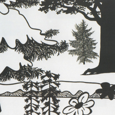 Image of Paul Morrison