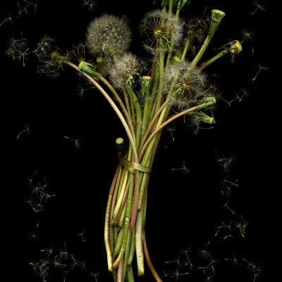 Image of Rita Soromenho