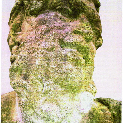 Image of Samuel Taylor