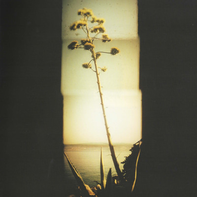 Image of Oliver Bancroft