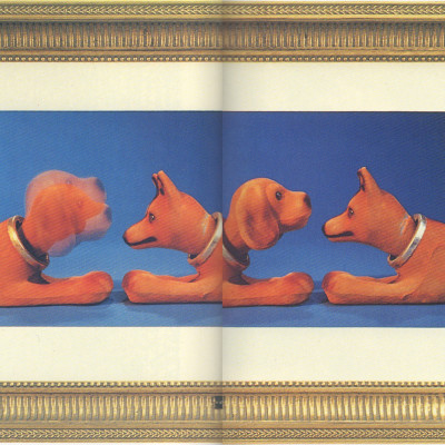 Image of Terry Loane