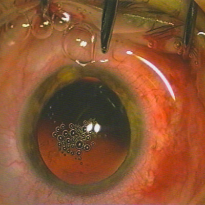 Image of Yvonne Jones