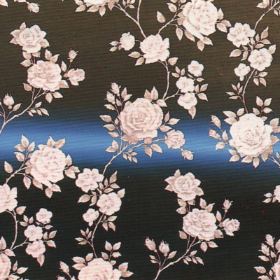 Image of Louise Hopkins