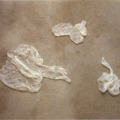 Image of Athanasios Argianas