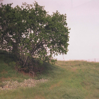 Image of Thomas Bangsted