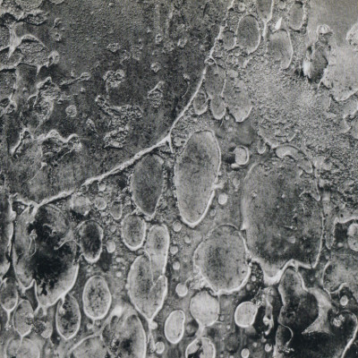 Image of Frauke Eigen