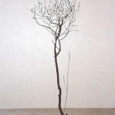 Image of Jennifer Beattie