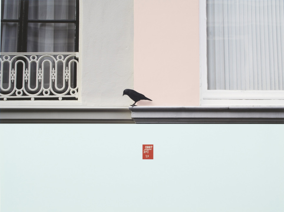 Untitled (Bird).jpg