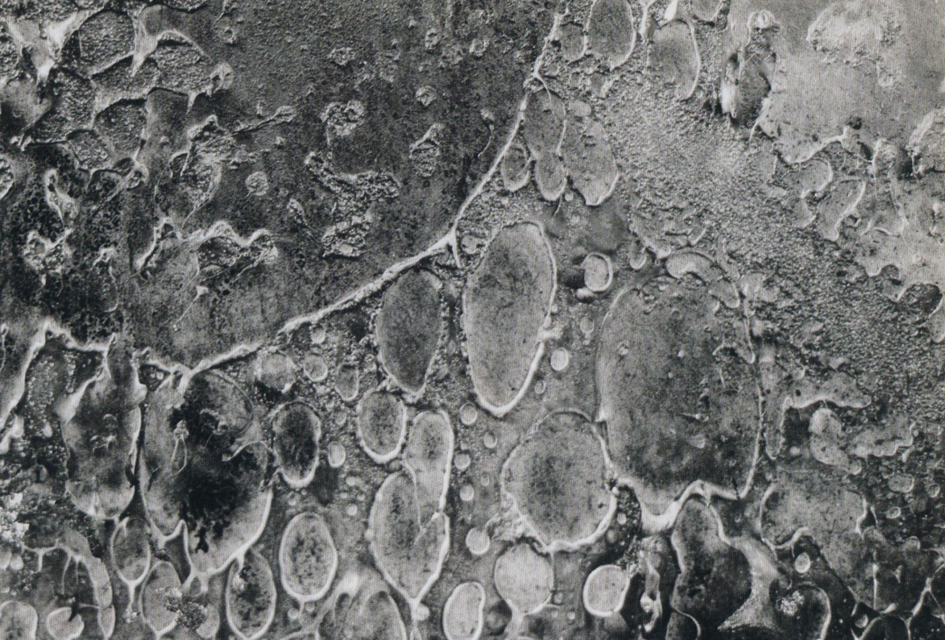 Image of BT New Contemporaries 1994-5, Cartwright Hall