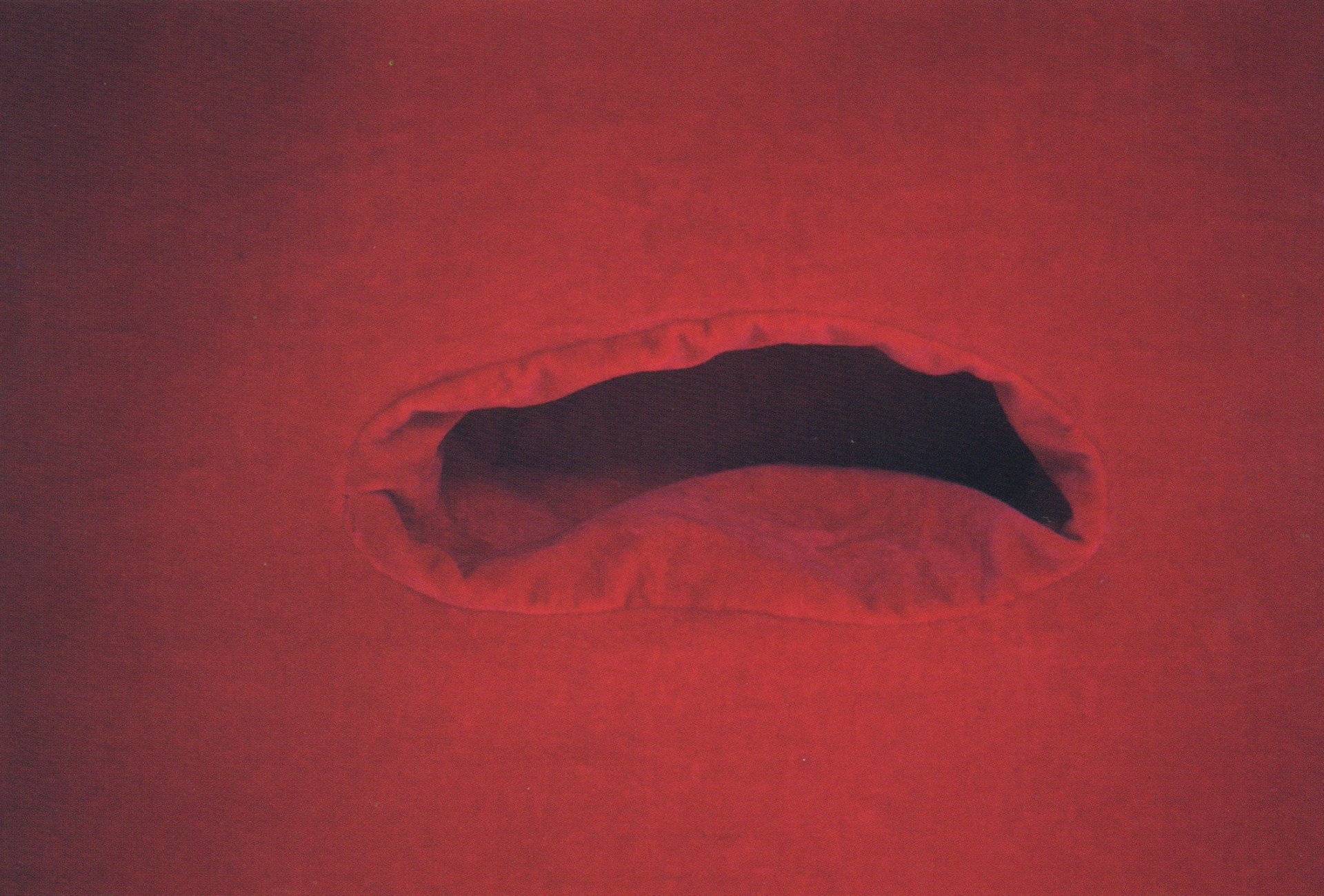 Image of BT New Contemporaries 1994-5, Aberystwyth Arts Centre 