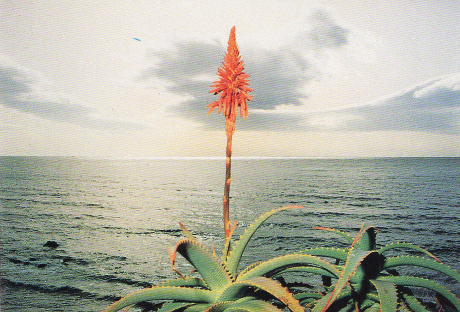 Image of BT New Contemporaries 1994-5, Cornerhouse