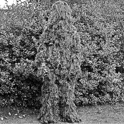 Image of Ferdinand Saumarez Smith