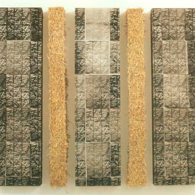 Image of Alison Jones