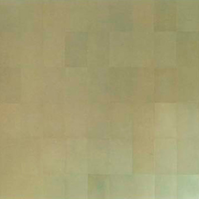 Image of Pat Kaufman