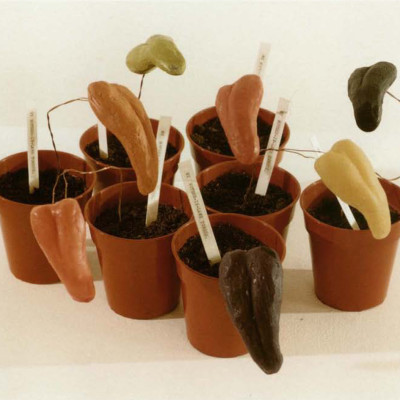 Image of Parul Modha