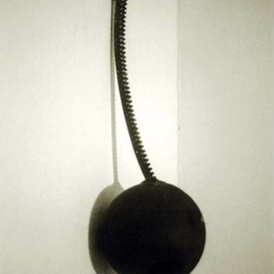 Image of Martin Haycock