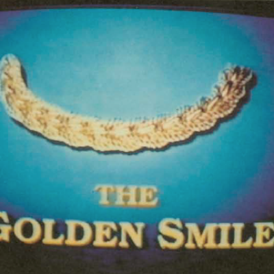 Image of Stephen Stephen