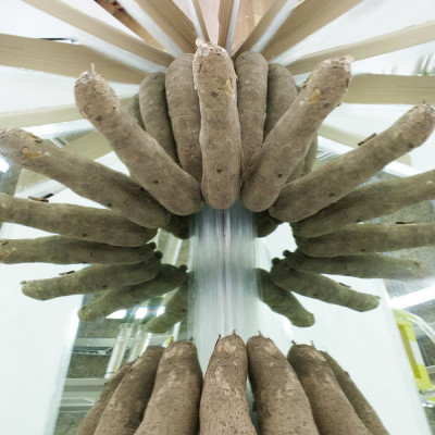 Image of Rafael Pérez Evans