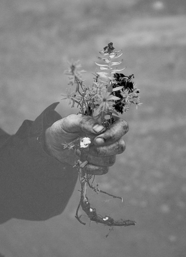 Apperley_BNC_ Blog4.jpg