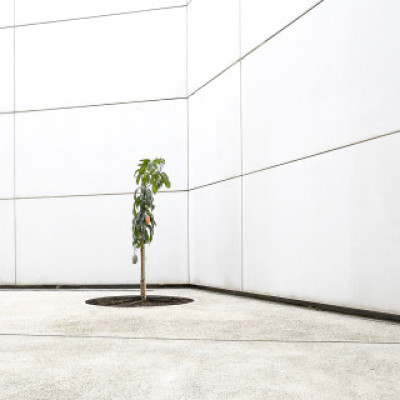 Image of New Contemporaries Fellowships & Scholarships 