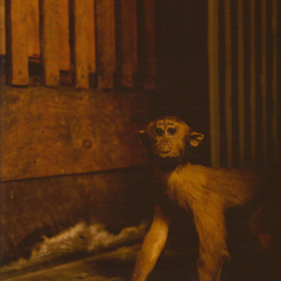 Image of Heiko Tiemann