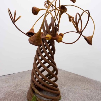 Image of Giorgio van Meerwijk