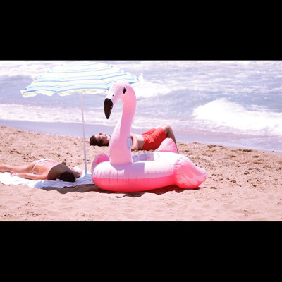 Image of Ahren Warner