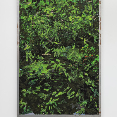 Image of Nicole Coson