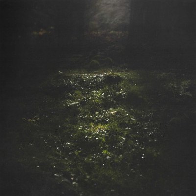 Image of Daniel G. Cramer