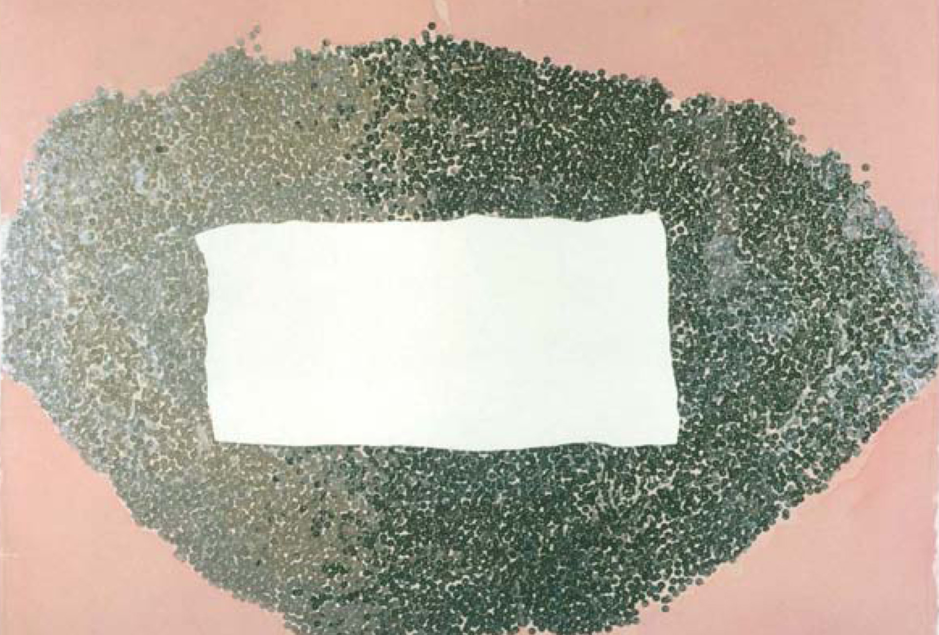 Image of British Telecom NC 1989-90, South Hill Park