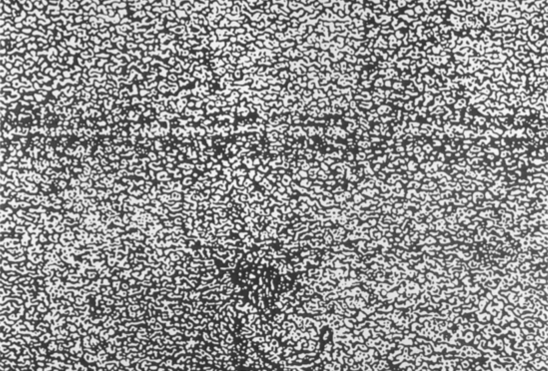 Image of British Telecom NC 1989-90, Brewery Arts Centre