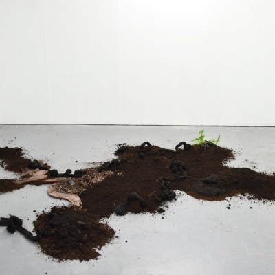 Image of Davinia-Ann Robinson