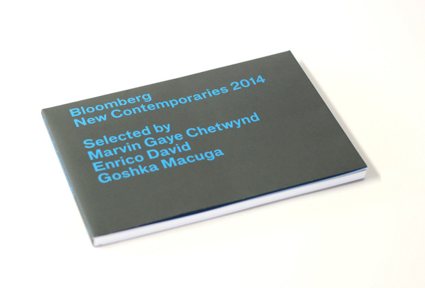 Image of Bloomberg New Contemporaries 2014 Catalogue