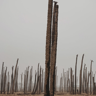 Image of Haneen Hadiy