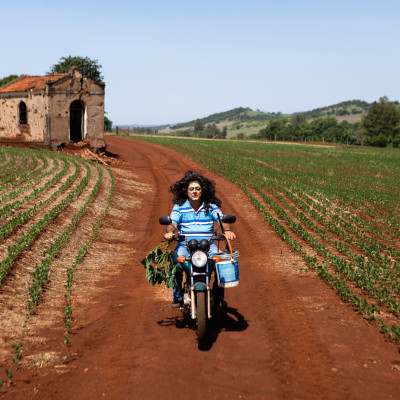 Image of Danilo Zocatelli Cesco