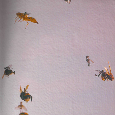 Image of Tessa Farmer