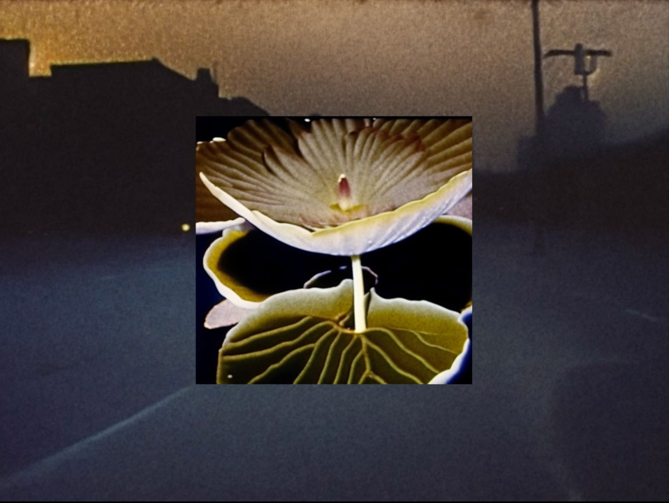 Sincerely Victor Pike_Gregor Petrikovic_New Contemporaries1.jpg