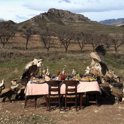 Image of Greta Alfaro