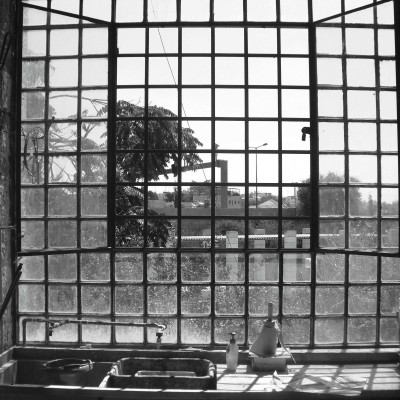 Image of Alexandra Handal