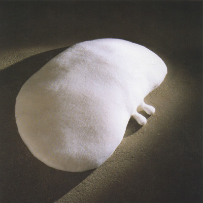 Image of Bernadette Bentley