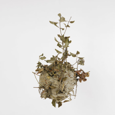 Image of Alison Stolwood