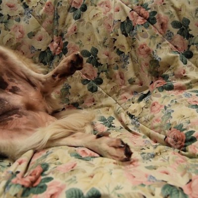 Image of Harriet Rickard