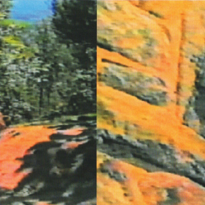 Image of David Harding