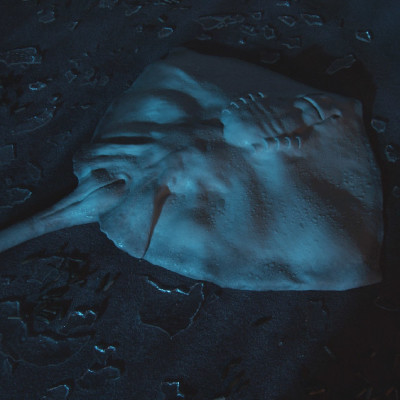 Image of Pete G. Donaldson