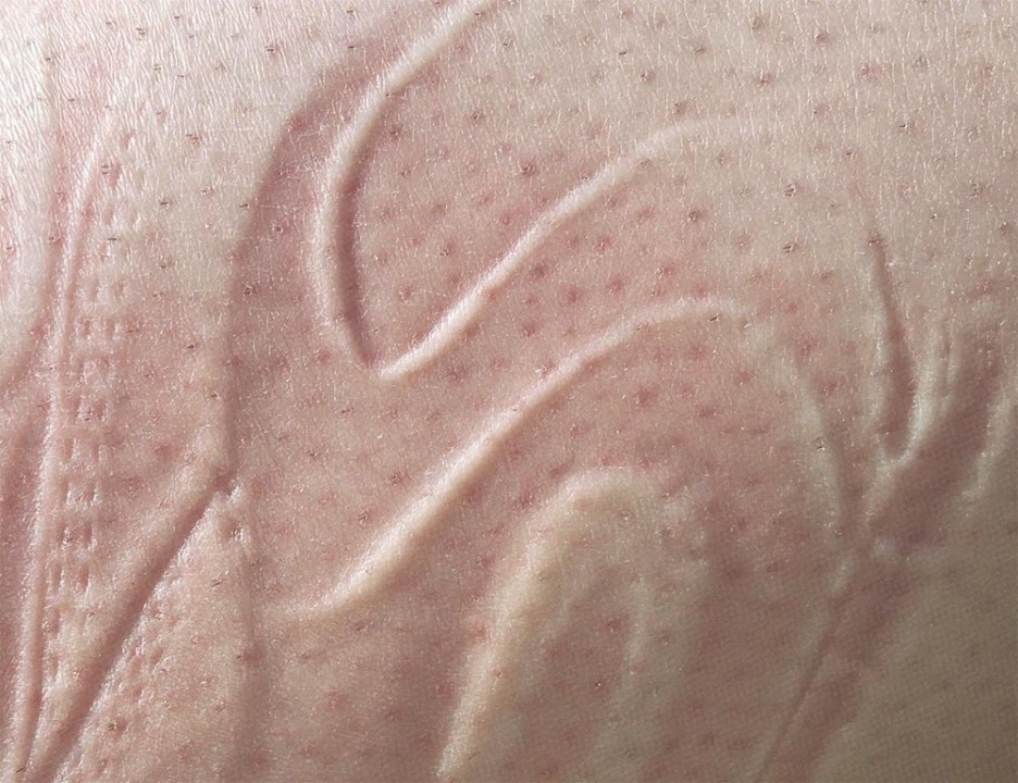 3381 [] 2021 Laila Majid - Majid_Rosie_WEB_1.jpg