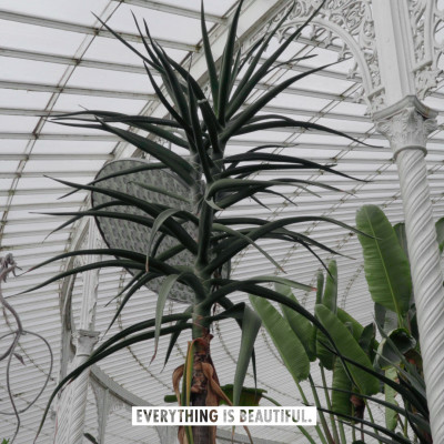 Image of Christof Nüssli 