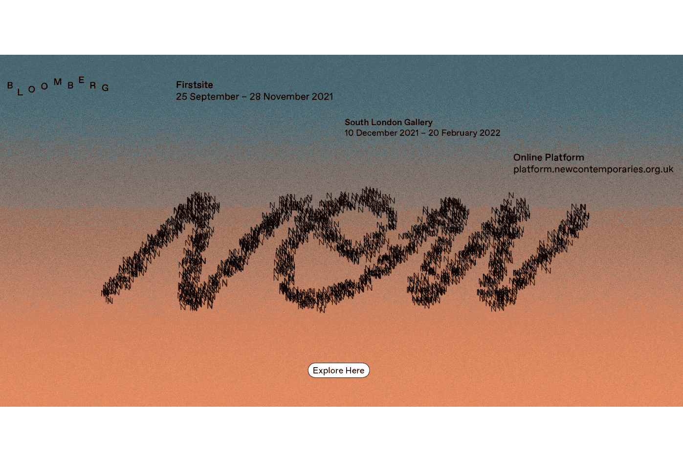 Image of BNC21 Online Platform