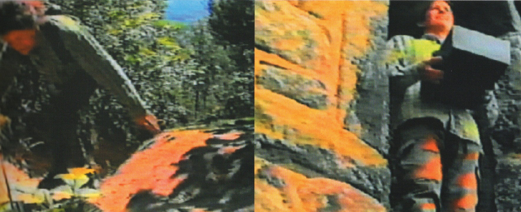 David Harding | New Contemporaries