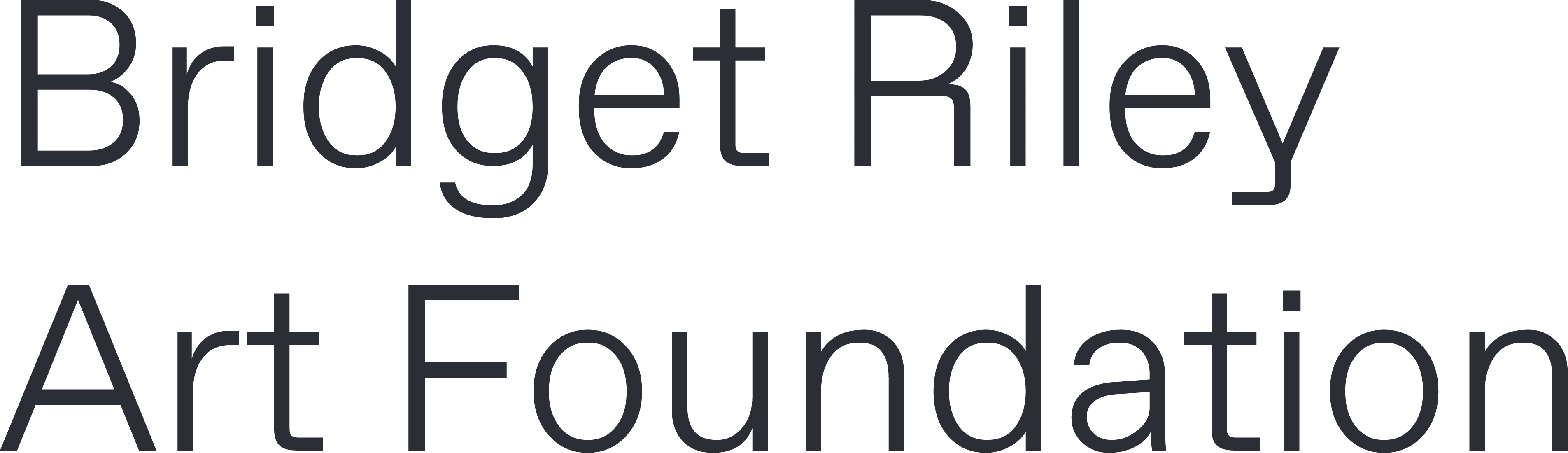 Bridge Riley Art Foundation